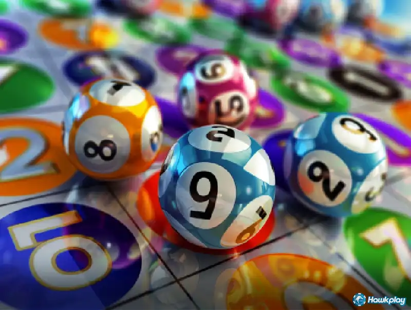 Mastering Bingo at Hawkplay: Your Comprehensive Guide - Hawkplay