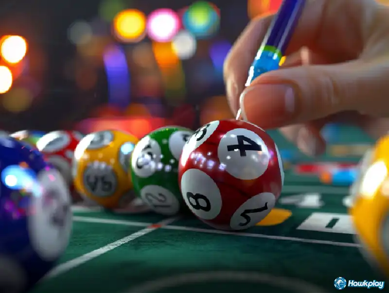 5 Inspiring Winning Stories from Hawkplay Bingo - Hawkplay